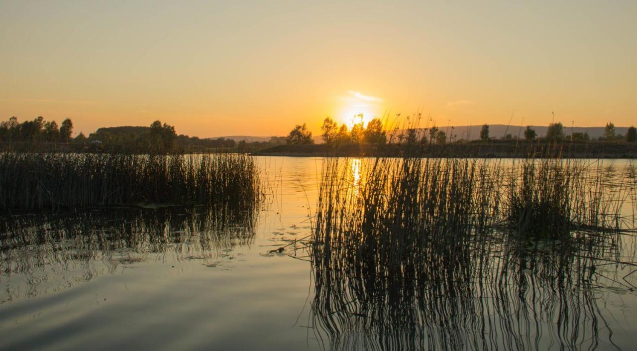 Camping Aux Rives Du Soleil ปงต์-เดอ-โวซ์ ภายนอก รูปภาพ
